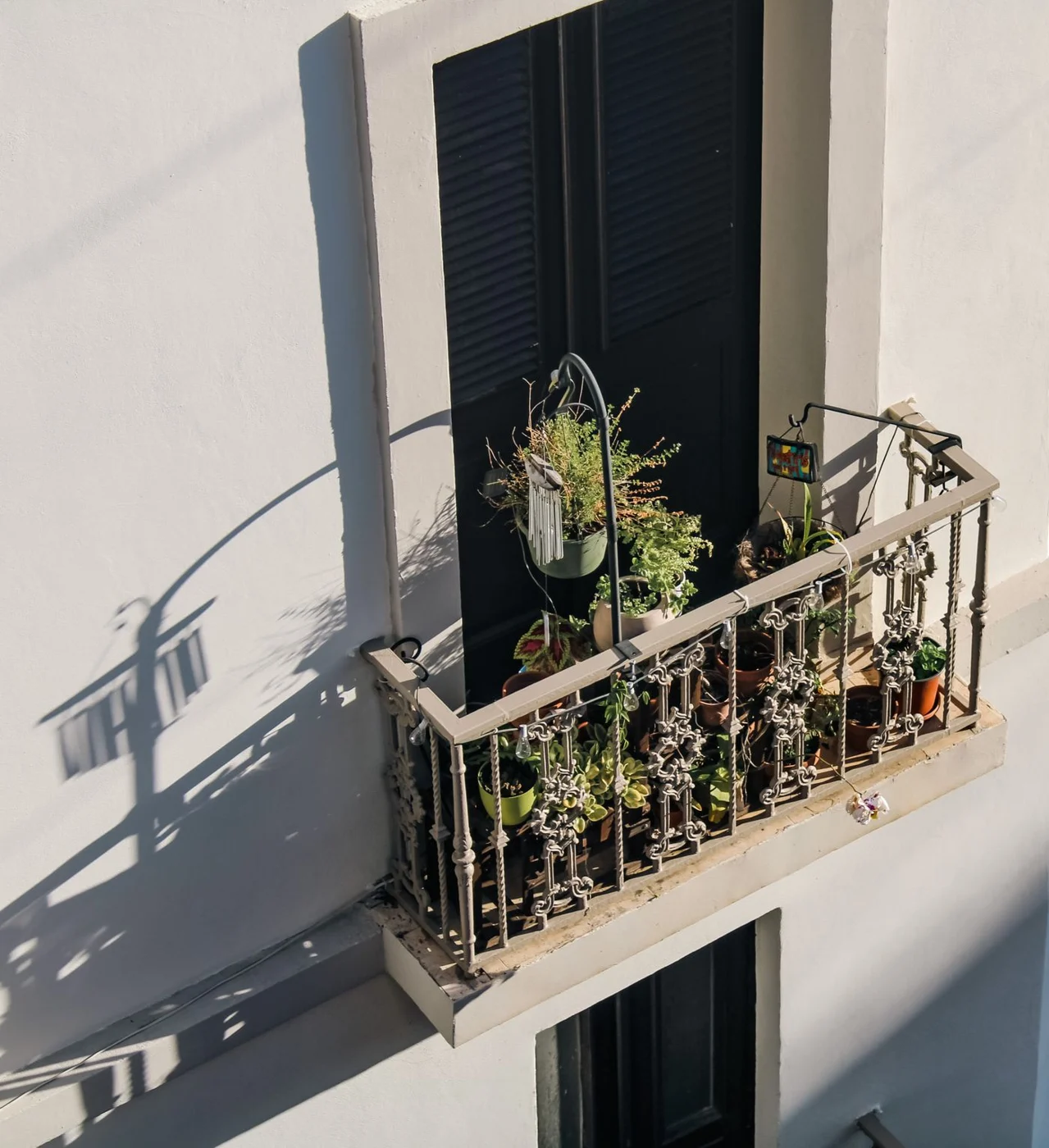 Topfpflanzen auf einem sonnigen Balkon