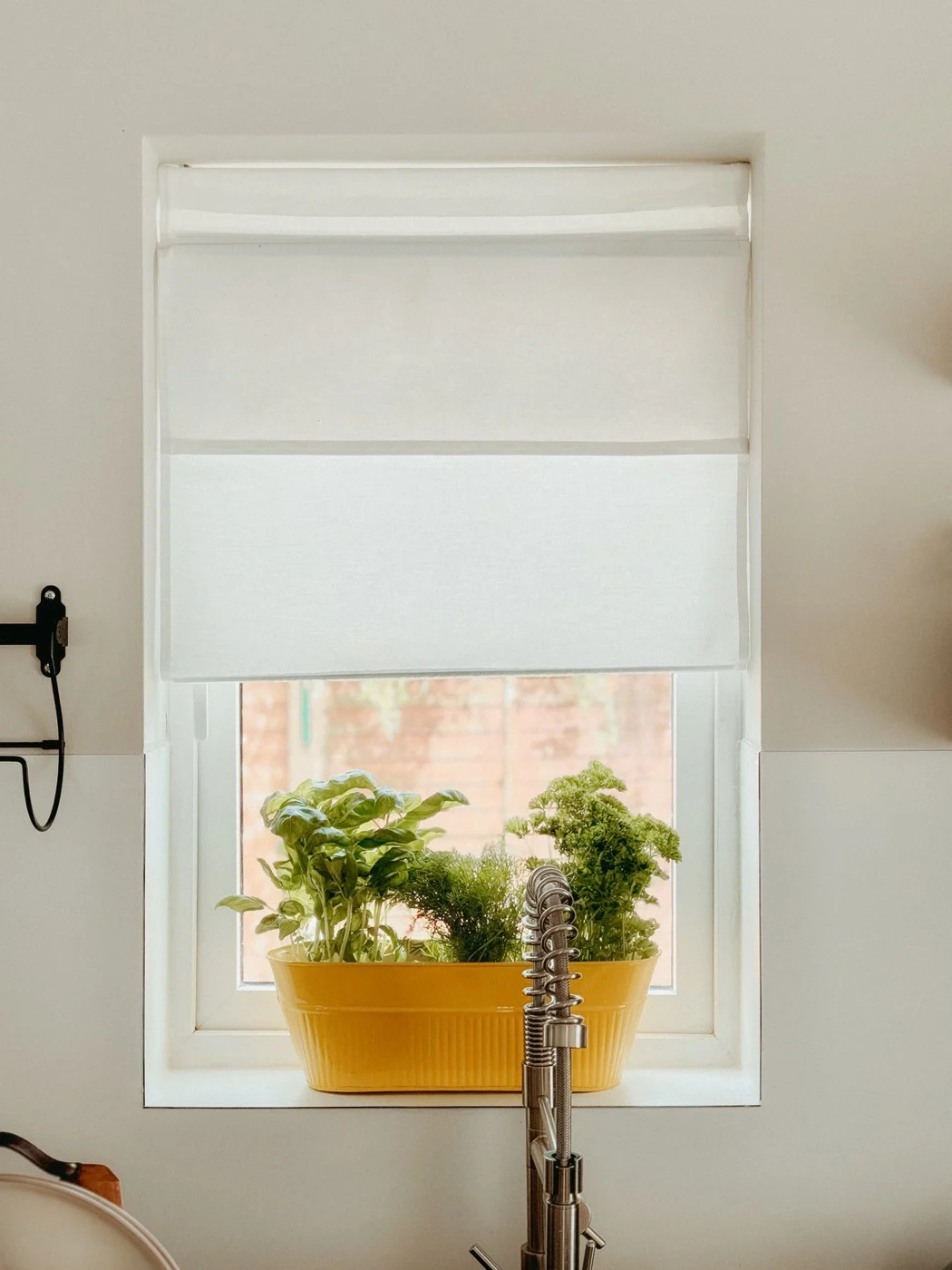 Kräutertöpfe an einem sonnigen Küchenfenster